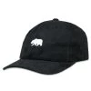 Grassroots California Polar Bear Black Suede Dad Hat