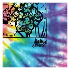 Grassroots California Ellie Paisley X Whitney Holbourn Eternal Sunshine Rainbow Dye T Shirt Men