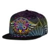 Grassroots California Night Owl Full Spectrum Fitted Hat 1 Grassroots California Night Owl Full Spectrum Fitted Hat