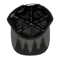 Grassroots California New Bear Paw Black Kids Snapback Hat