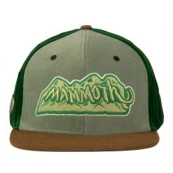 Grassroots California Mountain Division Mammoth Green Corduroy Strapback Hat
