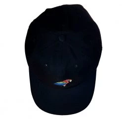 Grassroots California Scarlet Macaw Black Dad Hat New