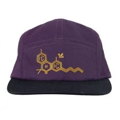 Grassroots California New THC Bee Purple 5 Panel Snapback Hat