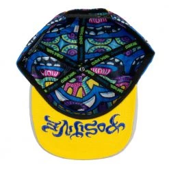 Grassroots California Chris Dyer Harmoneyes Blue Pattern Snapback Hat