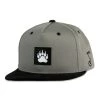 Grassroots California Bear Paw Gray Snapback Hat New