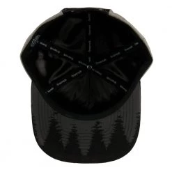Grassroots California Bear Paw Gray Snapback Hat New