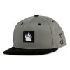 Grassroots California Bear Paw Gray Kids Snapback Hat