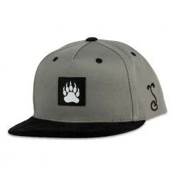 Grassroots California Bear Paw Gray Kids Snapback Hat