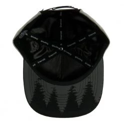 Grassroots California Bear Paw Gray Kids Snapback Hat