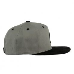Grassroots California Bear Paw Gray Kids Snapback Hat