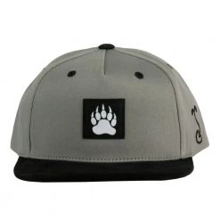 Grassroots California Bear Paw Gray Kids Snapback Hat