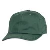 Grassroots California Touch Of Class Pine Dad Hat New