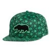 Grassroots California New Removable Bear Geo Triangles Seafoam Snapback Hat 1 Grassroots California New Removable Bear Geo Triangles Seafoam Snapback Hat
