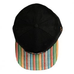 Grassroots California New Removable Bear Skateboard Deck Black Fitted Hat 12 Grassroots California New Removable Bear Skateboard Deck Black Fitted Hat