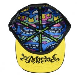 Grassroots California Chris Dyer Harmoneyes Blue Black Snapback Hat New