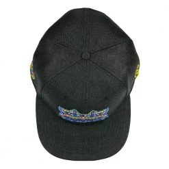 Grassroots California Chris Dyer Harmoneyes Blue Black Snapback Hat New