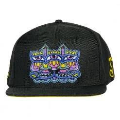 Grassroots California Chris Dyer Harmoneyes Blue Black Snapback Hat New